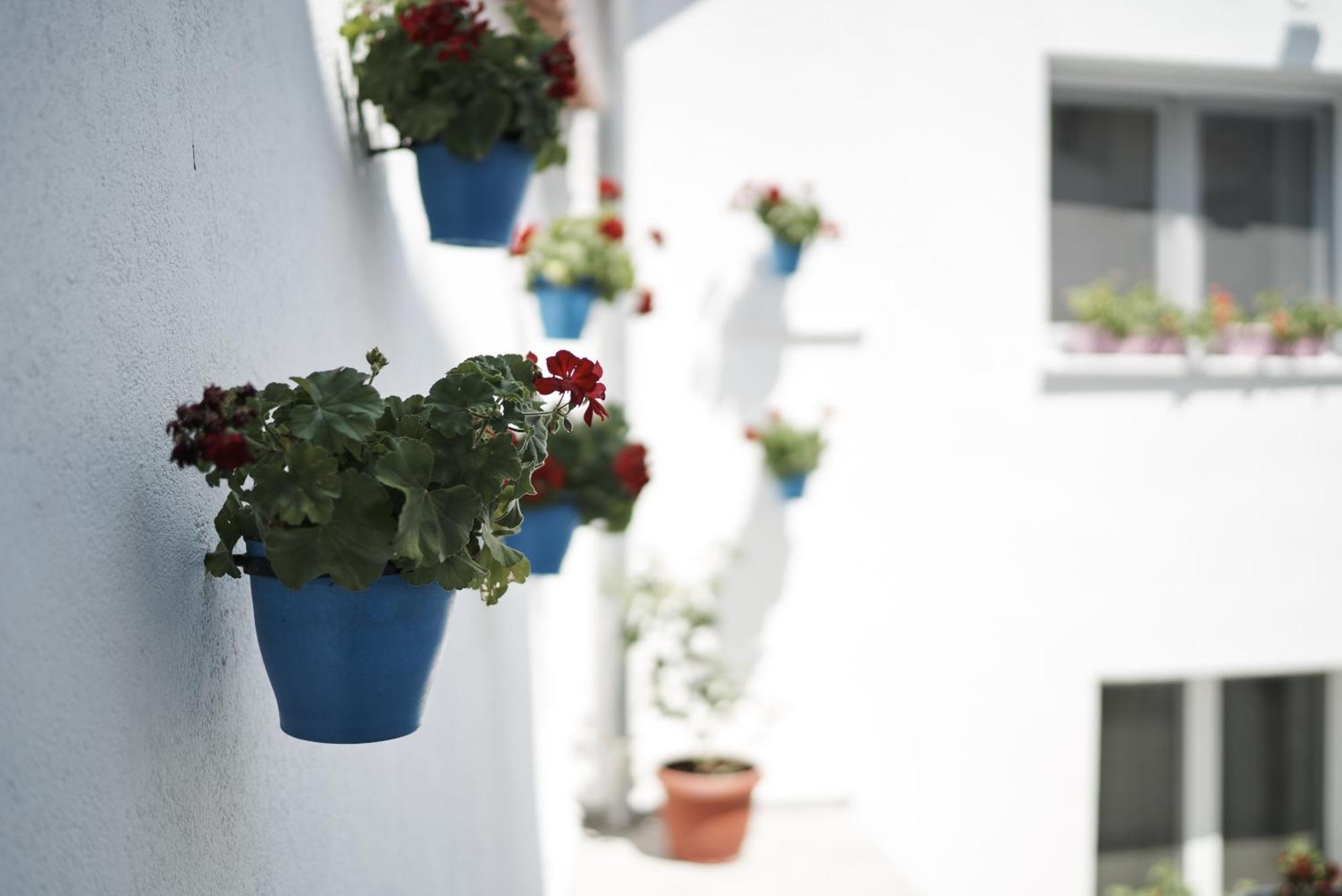 Hotel Pansion Rose Mostar Exterior foto